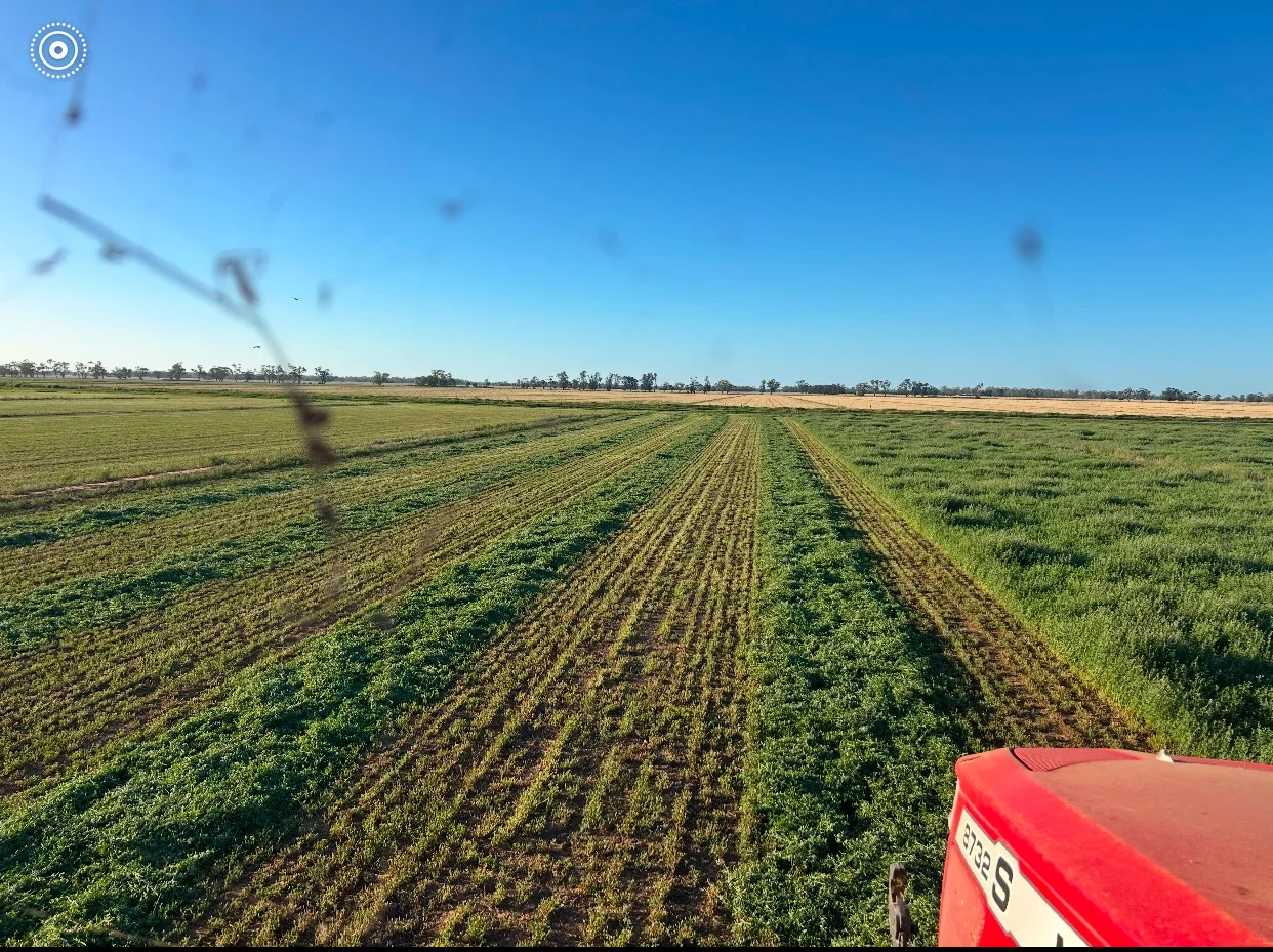 Additional image 43 of 229 Elliots Lane, Forbes NSW 2871