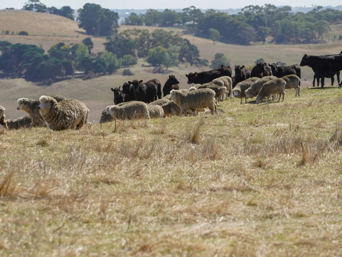 Additional image 12 of 589 Paschendale Road, Paschendale VIC 3315