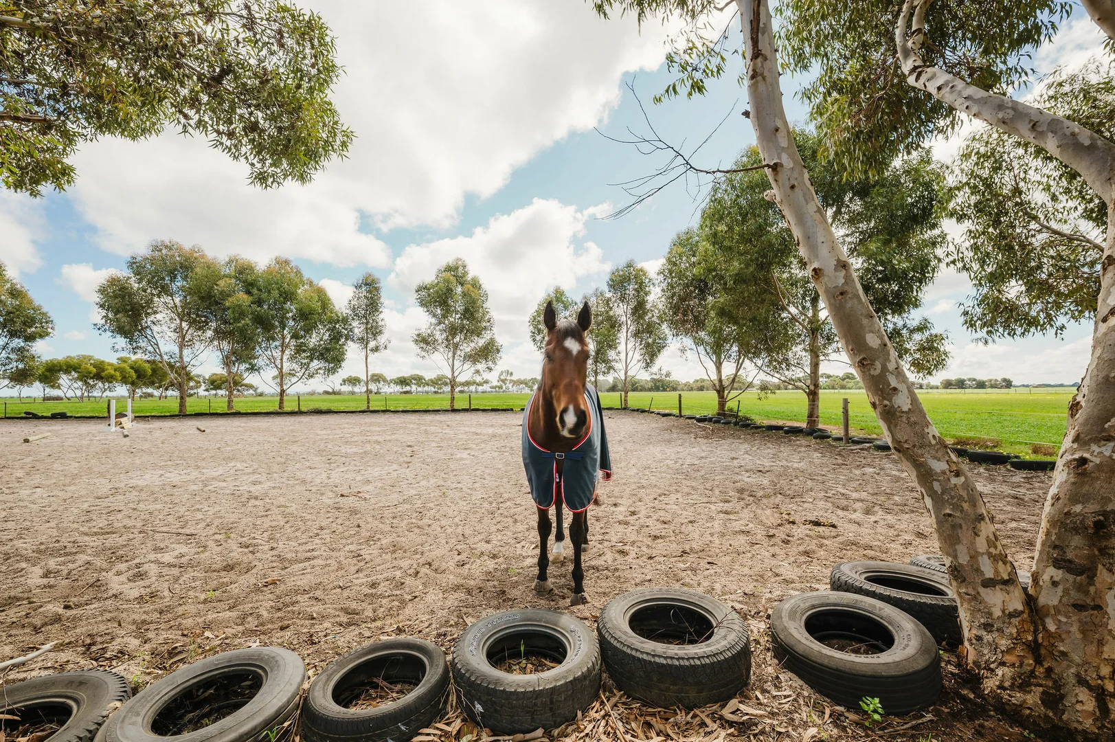 Additional image 3 of 3297 Traeger Rd, Balaklava SA 5461