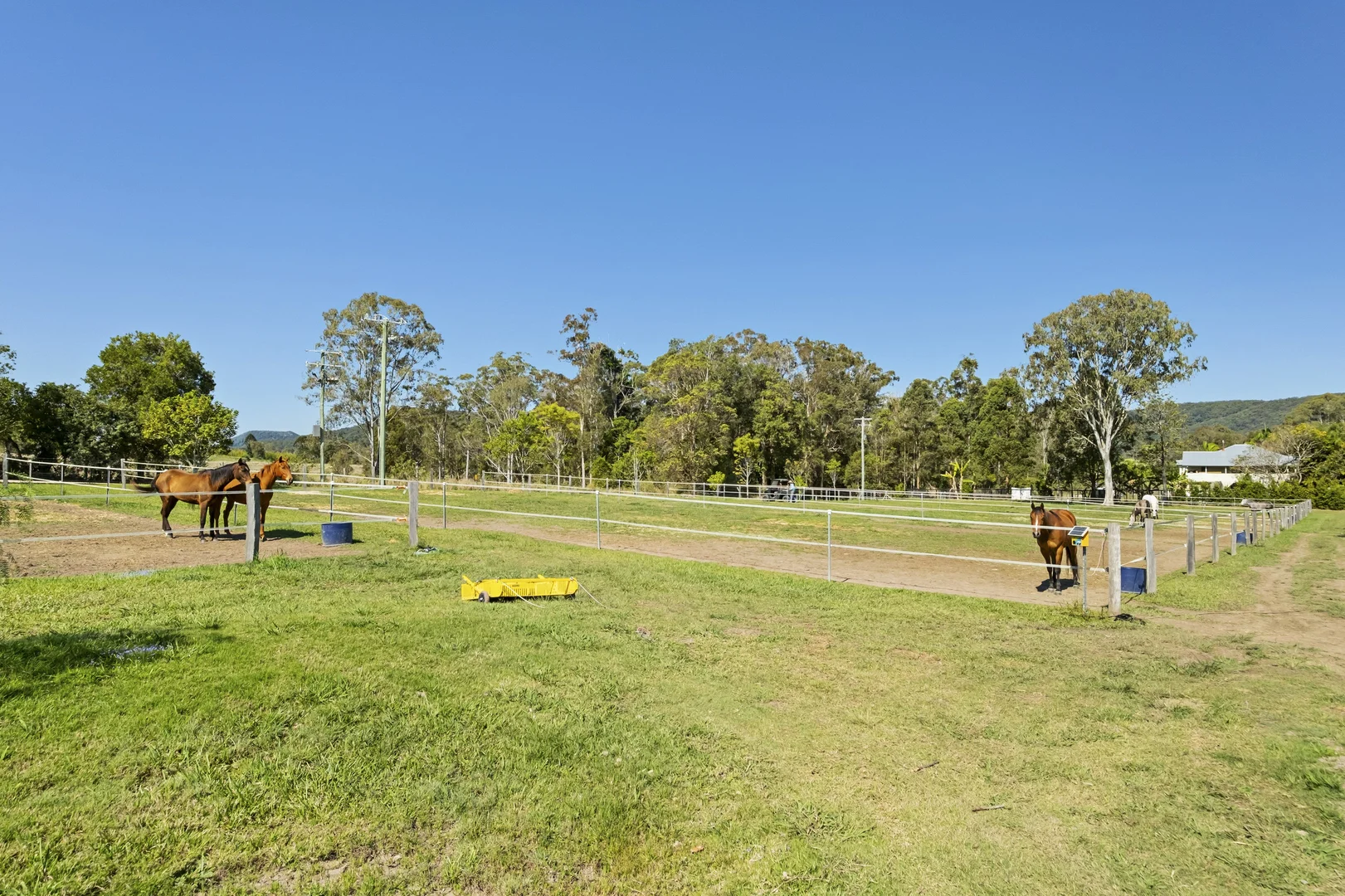 Additional image 15 of 24 Paddy Melon Lane, Belli Park QLD 4562