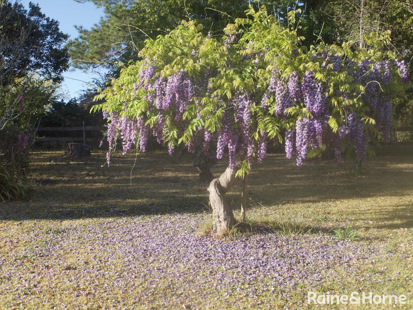 Additional image 12 of 60 Croziers Road, Jaspers Brush NSW 2535
