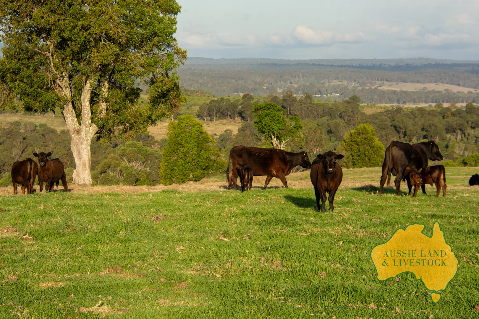 Additional image 47 of 420 HODGLEIGH NORTH ROAD, Hodgleigh QLD 4610