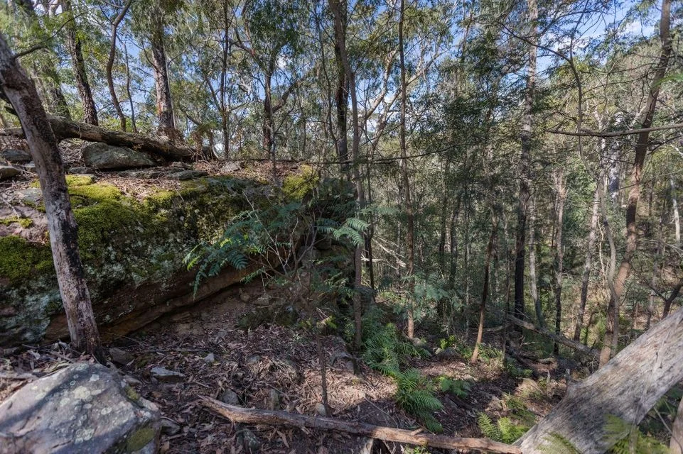 Additional image 12 of 250 Wombat Road, Lakesland NSW 2572