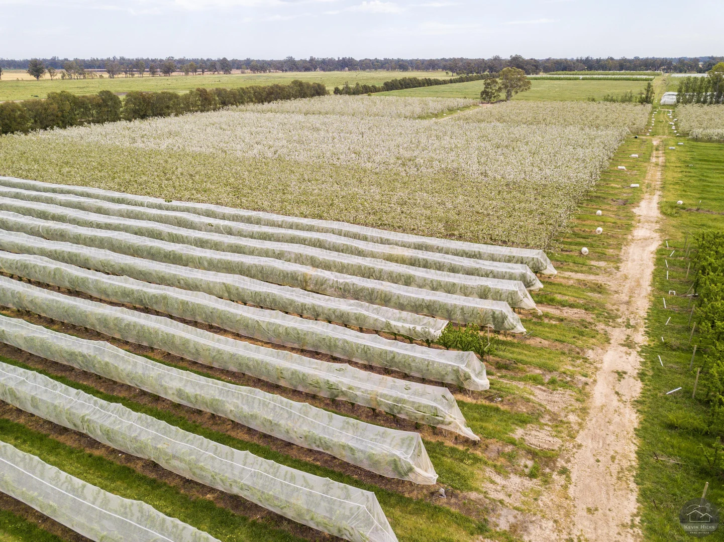 Additional image 4 of 805 Dougan Road, Coomboona VIC 3629