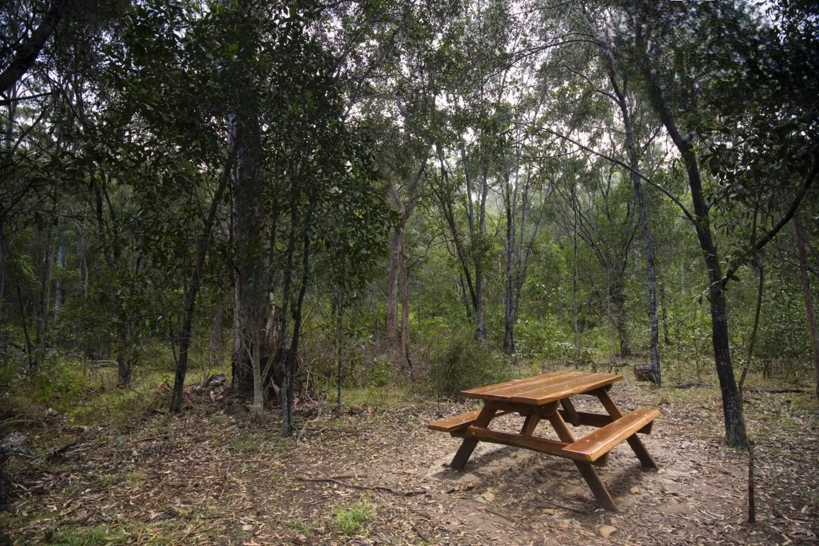 Additional image 15 of Lot Stage 8 Park Avenue, North Isis QLD 4660