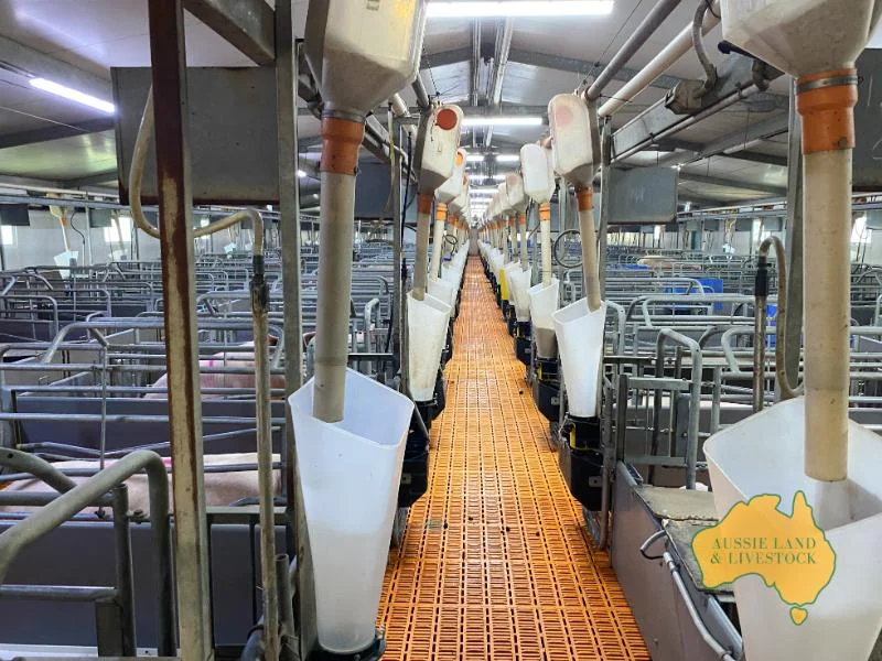 Additional image 18 of 474 Wigton Rd, Gayndah QLD 4625