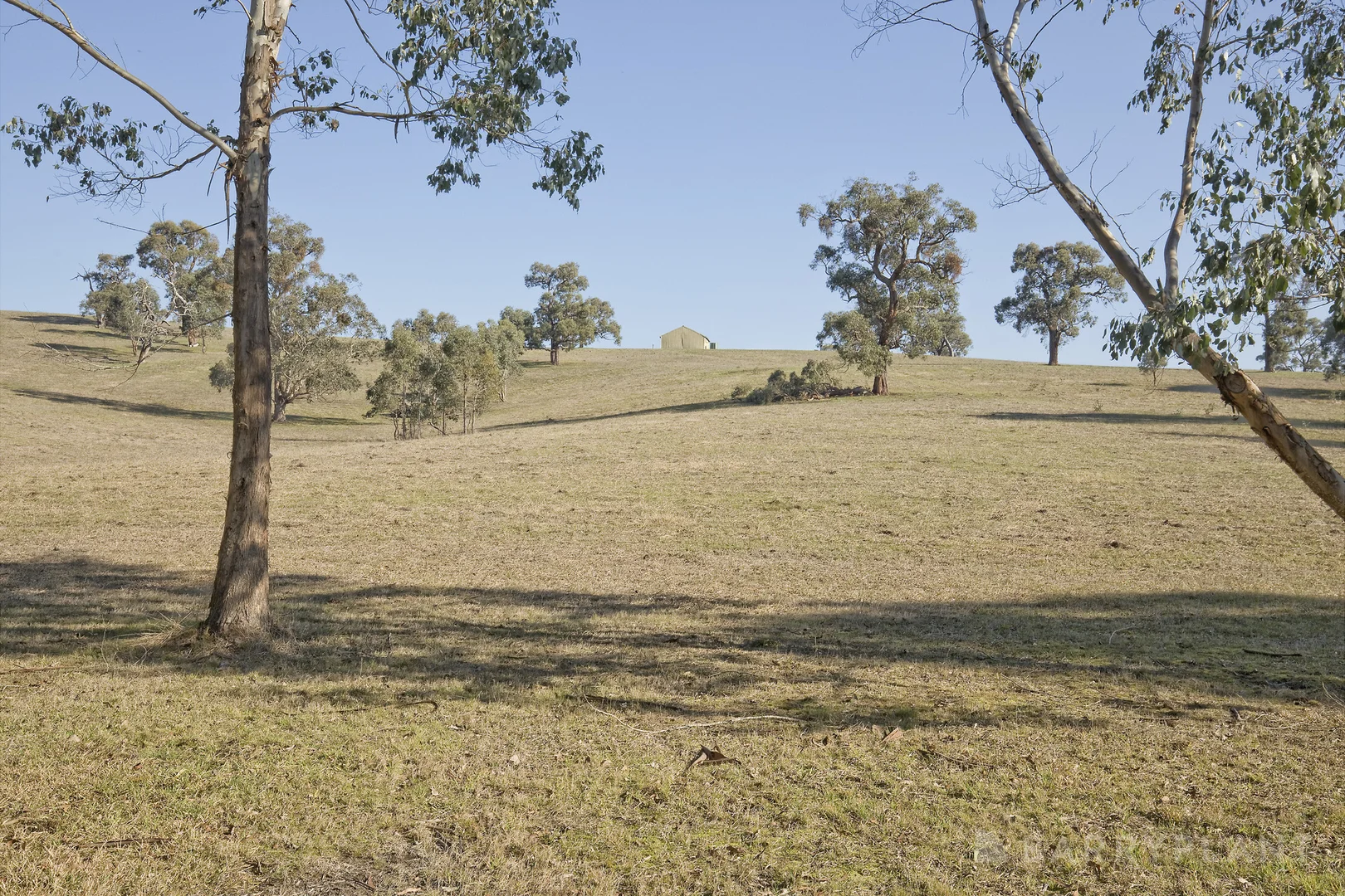 Additional image 23 of 450 Sheepstation Creek Road, Yellingbo VIC 3139