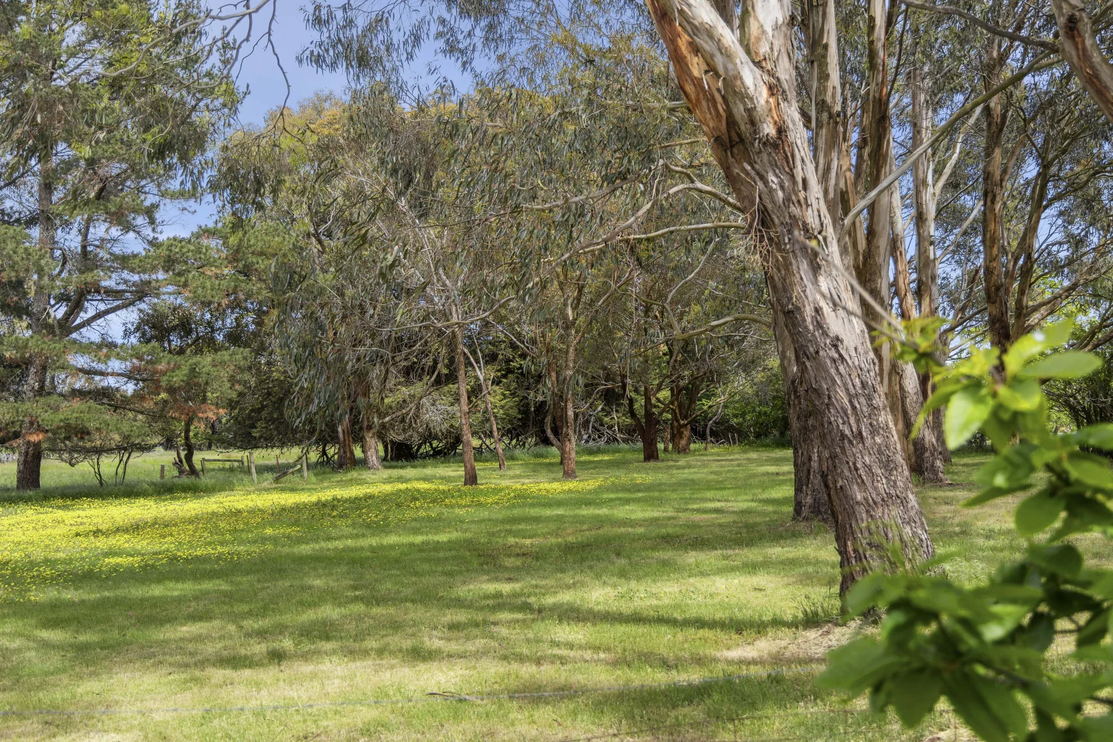 Additional image 19 of 84 Church Parade, Kingston VIC 3364