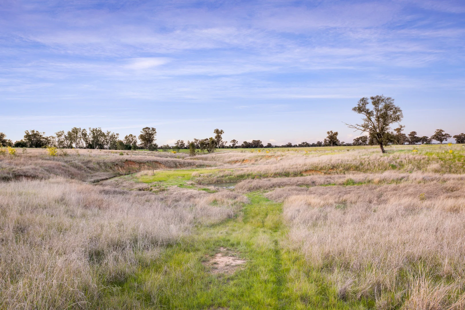 Additional image 37 of 617 Police Paddocks Rd, Carlyle VIC 3685