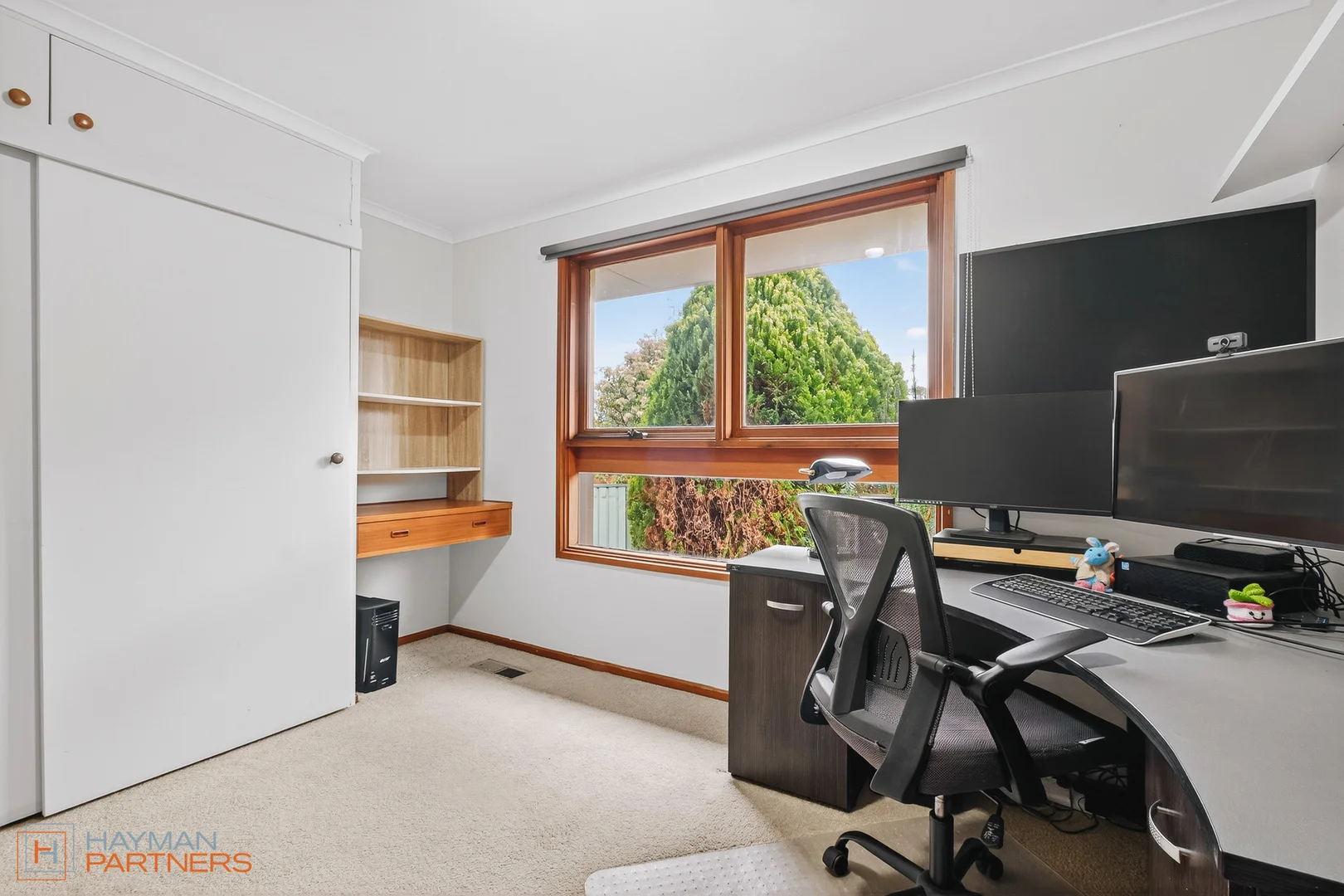 Additional image 18 of 7 Wenholz Street, Farrer ACT 2607