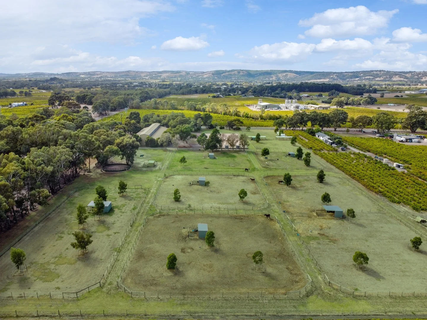 328 Chalk Hill Road, McLaren Vale SA 5171