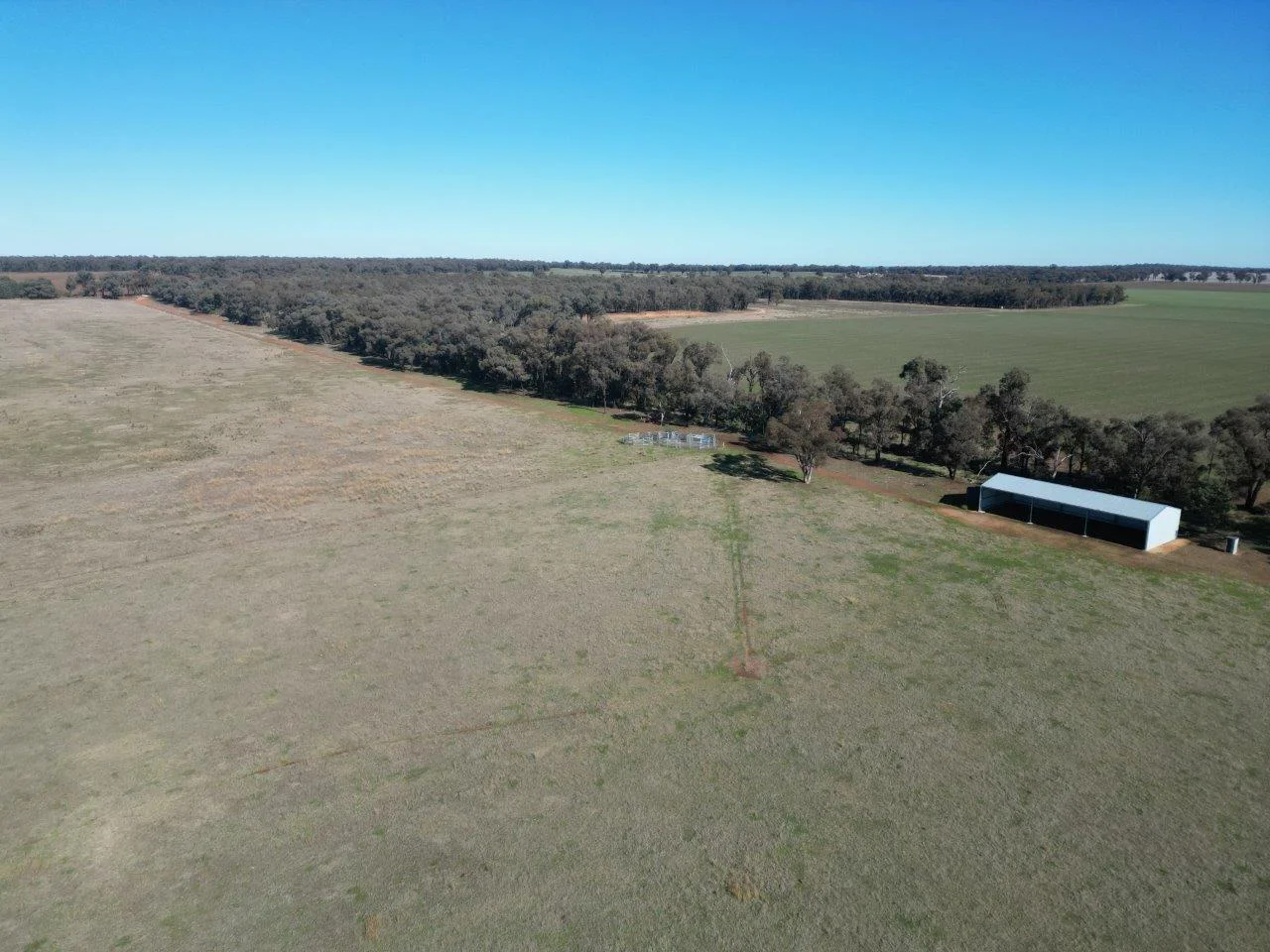 Additional image 4 of 977 Schmidts Road, Temora NSW 2666
