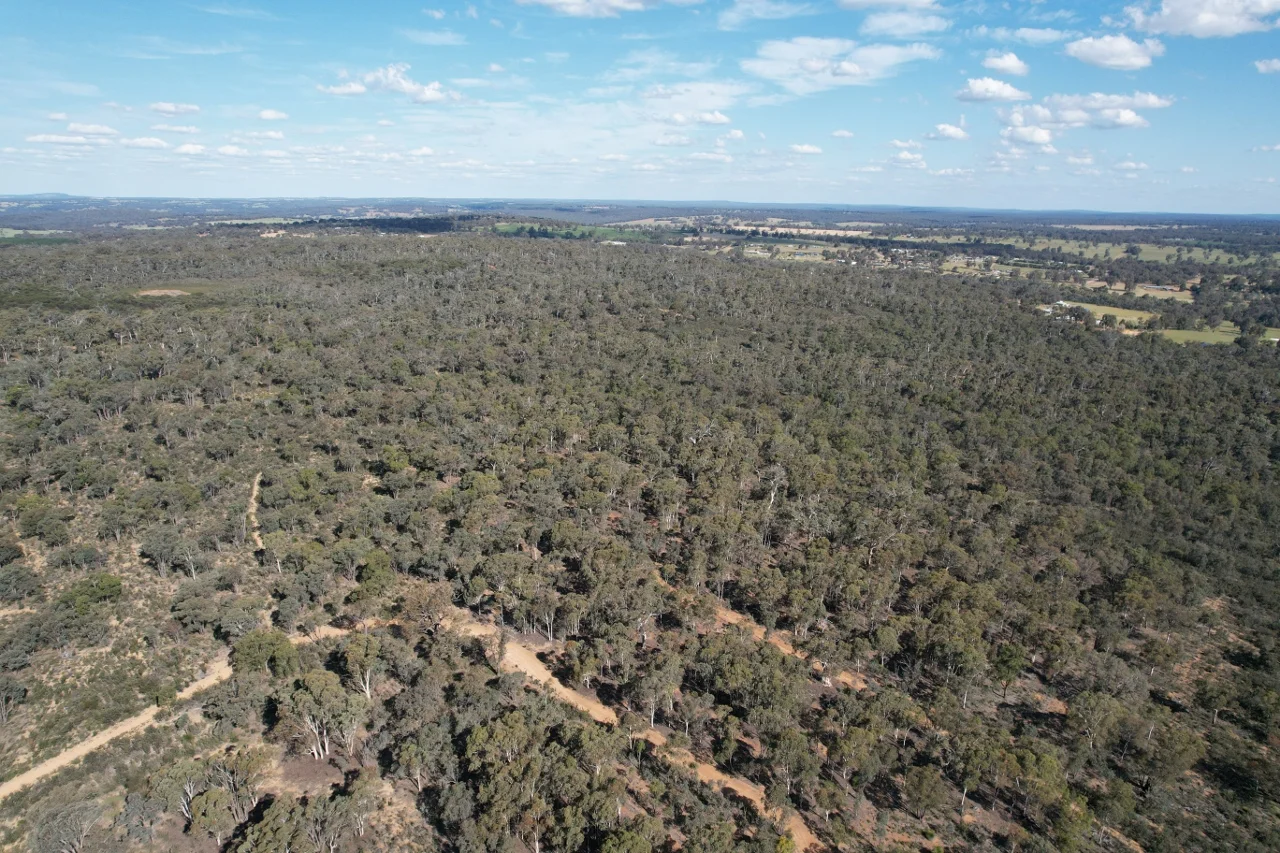 Additional image 9 of 200 Gumley Road, Bakers Hill WA 6562