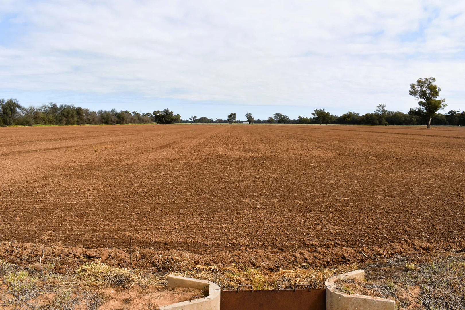 Additional image 9 of "Allandale" 7861 Lachlan Valley Way, Forbes NSW 2871