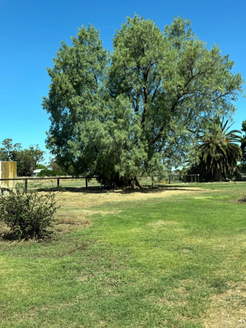 Additional image 42 of 674 Singer Road, Bamawm VIC 3561