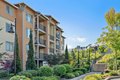 Additional image 58 of 906 NE Lilac St, Issaquah, WA, 98029