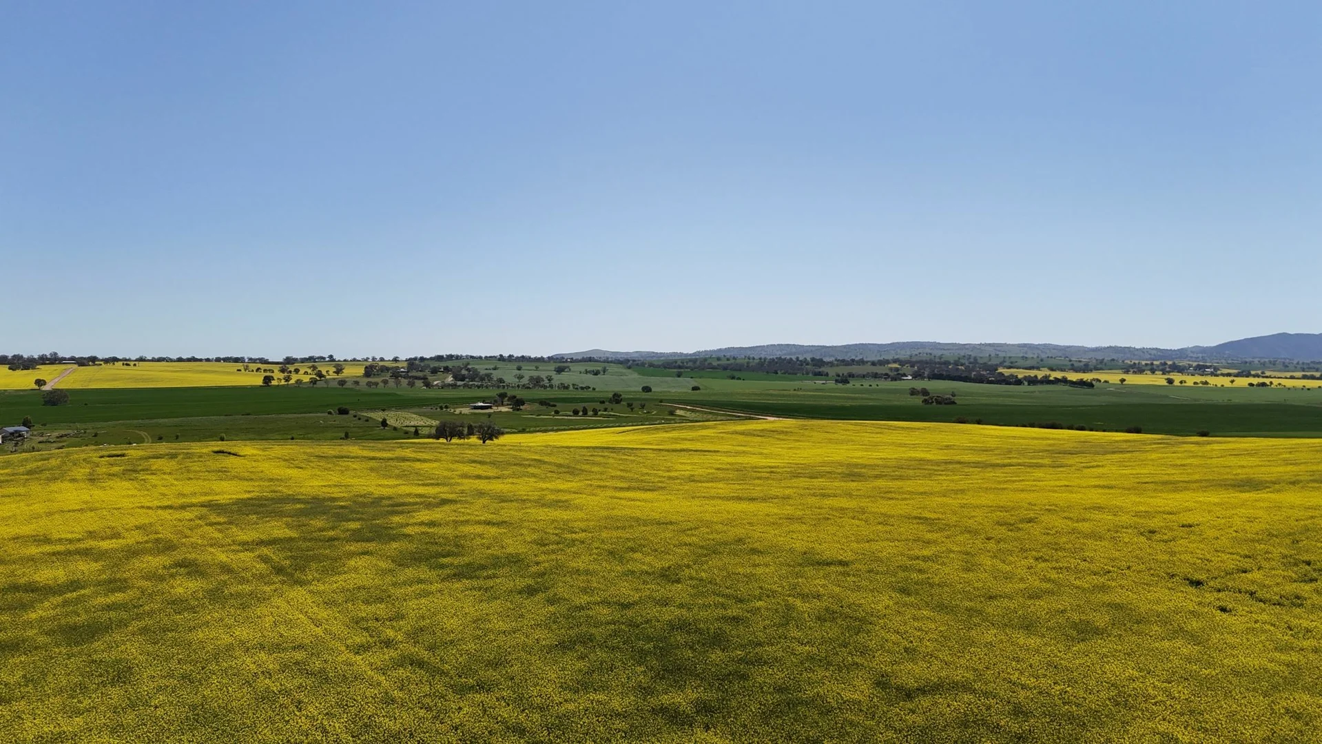 Additional image 13 of 'Ryans' Archie Road, Murray Town SA 5481