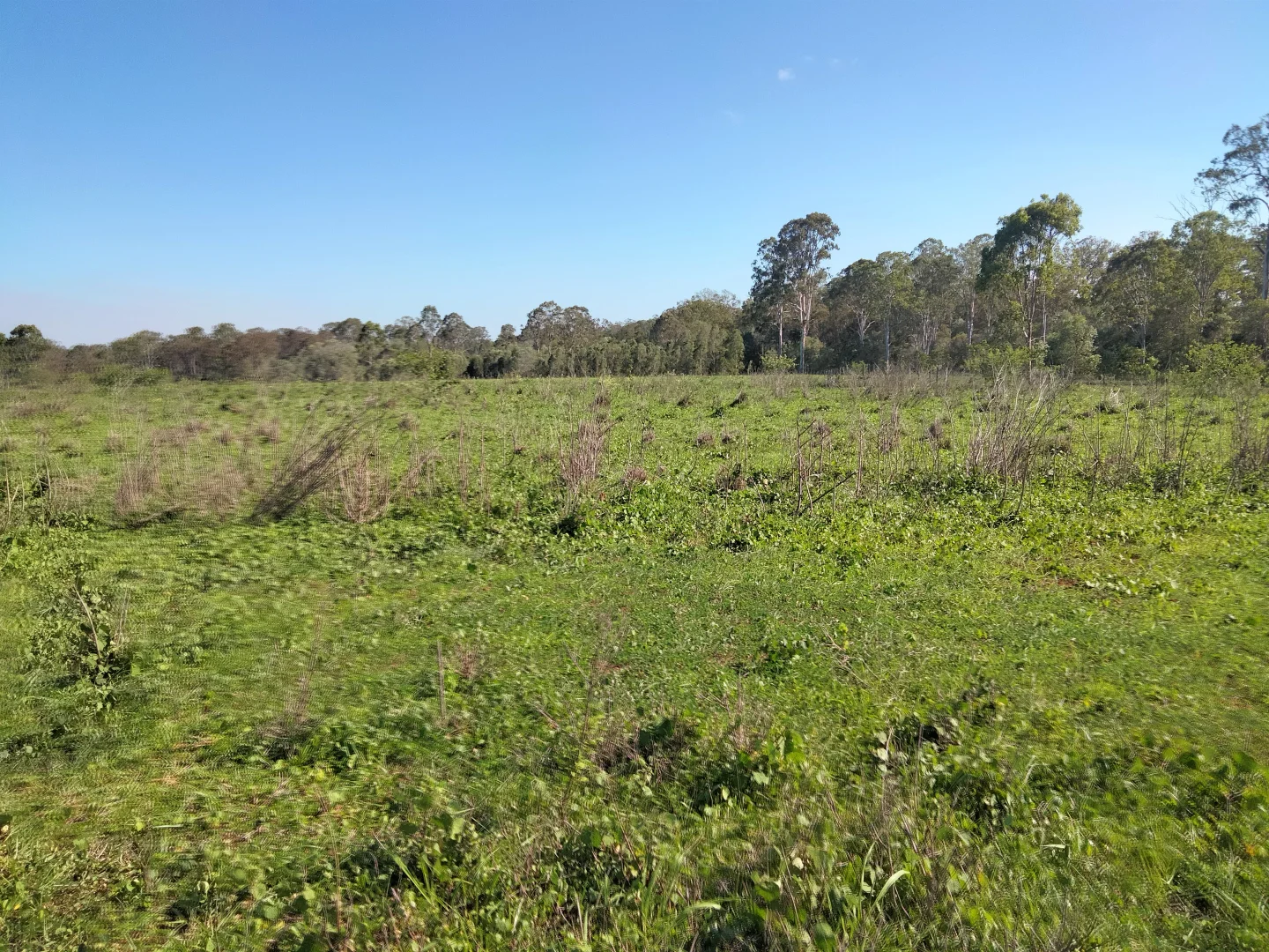 Additional image 62 of 2913 Rosedale Road, Yandaran QLD 4673