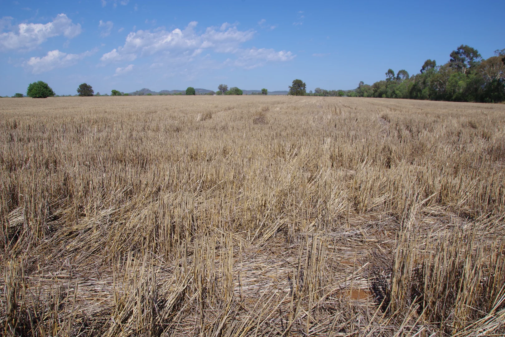 Additional image 43 of 1676 Willala Road, Boggabri NSW 2382