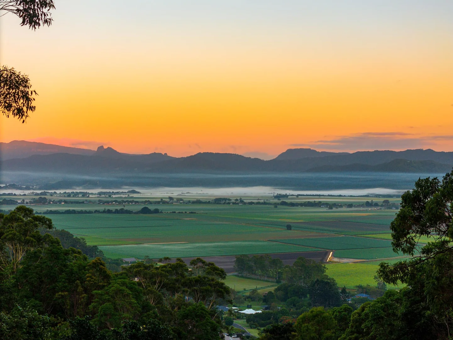 Additional image 14 of 20 Farrants Road, Farrants Hill NSW 2484