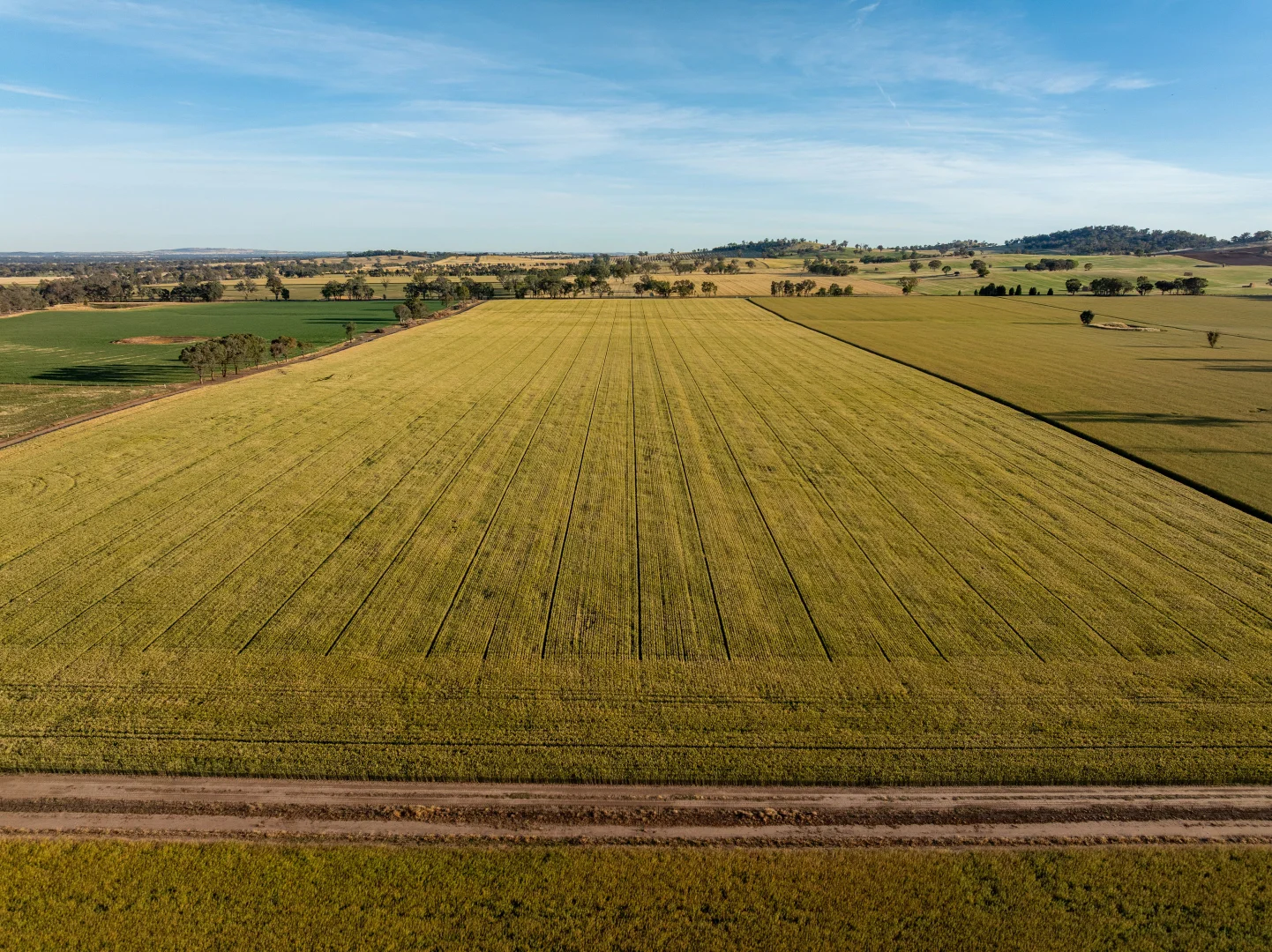 Additional image 9 of 158 Bethel Road, Burrumbuttock NSW 2642