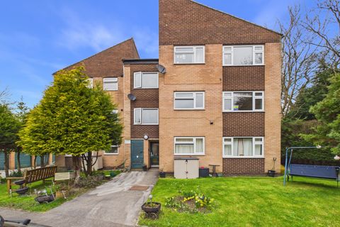 Cypress Avenue, Norton S8