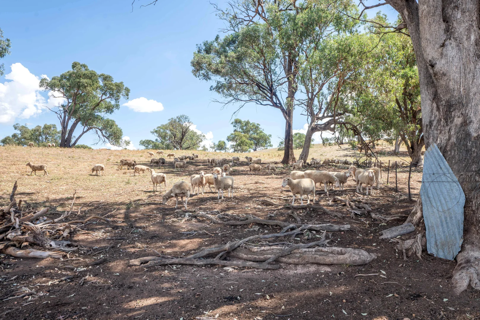 Additional image 14 of 1862 Euchareena Road, Euchareena NSW 2866