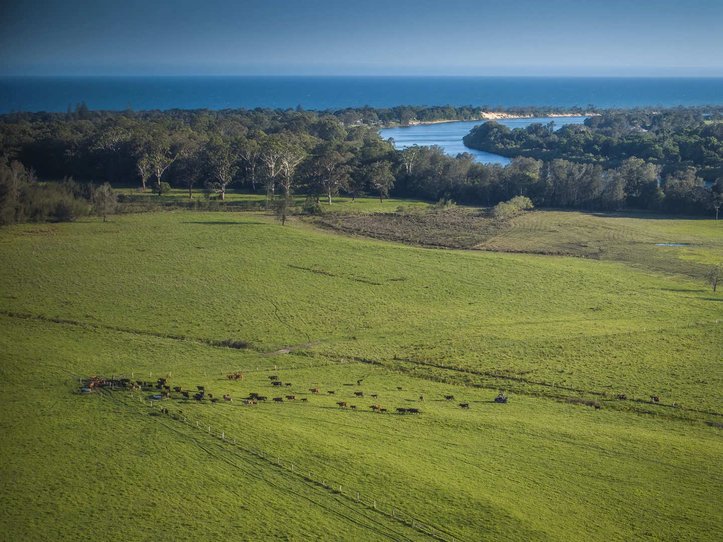 Additional image 7 of 33 River Street, Repton NSW 2454