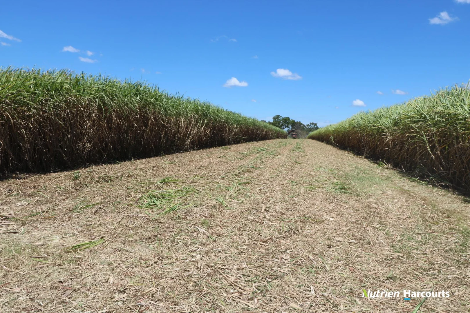 Additional image 18 of 3392 Childers Road, Gregory River QLD 4660