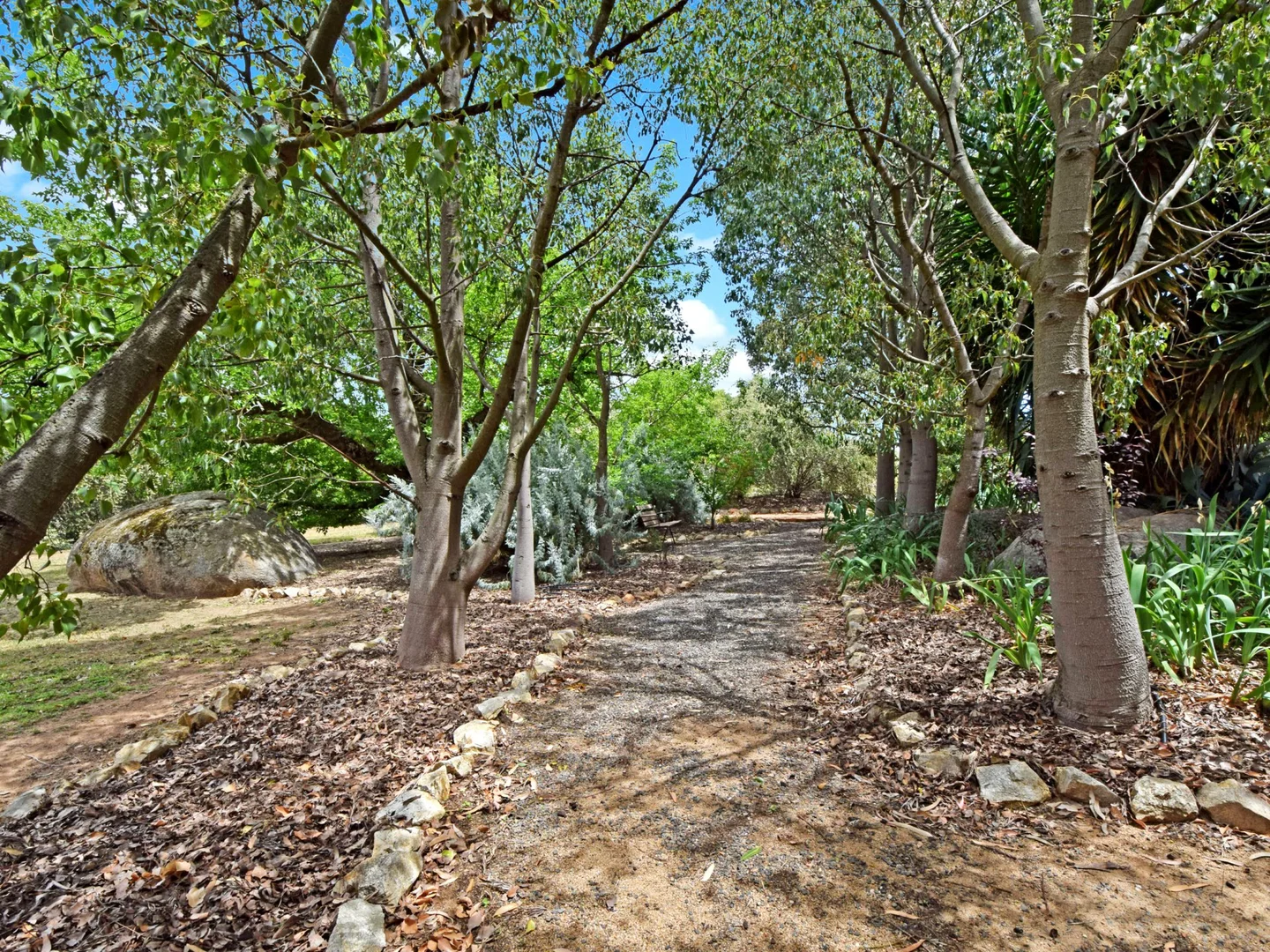 Additional image 47 of 20 Quamby SS Road, Young NSW 2594