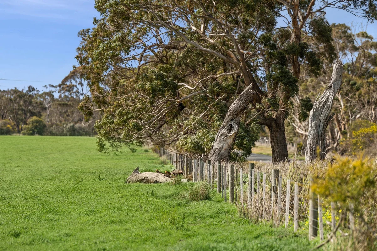 Additional image 5 of 1220 Blackgate Road, Freshwater Creek VIC 3217