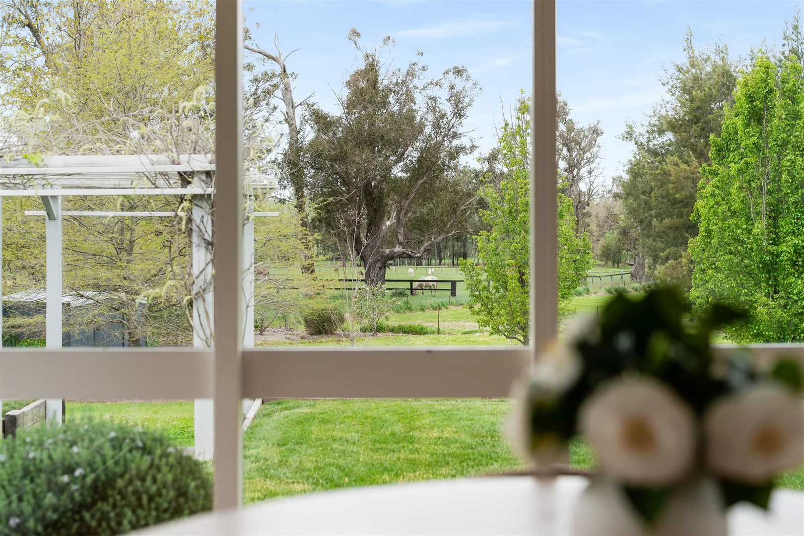 Additional image 12 of 43A Eridge Park Road, Burradoo NSW 2576