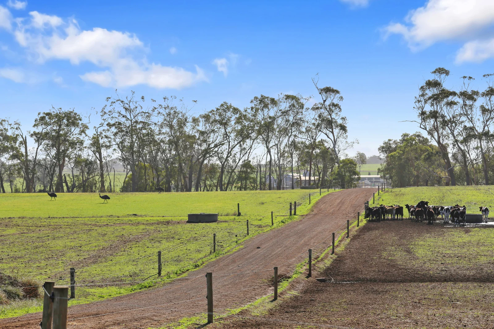 Additional image 47 of 140 Savins Road, Condah VIC 3303