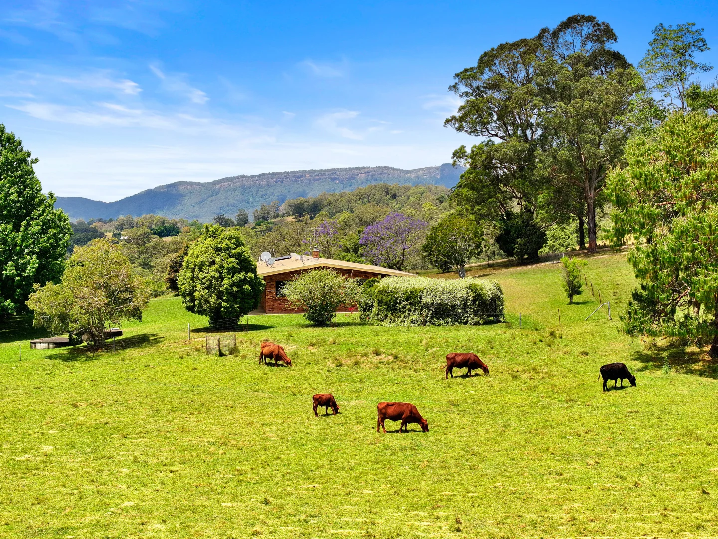 Additional image 19 of 273 Roelands Drive, Brombin NSW 2446