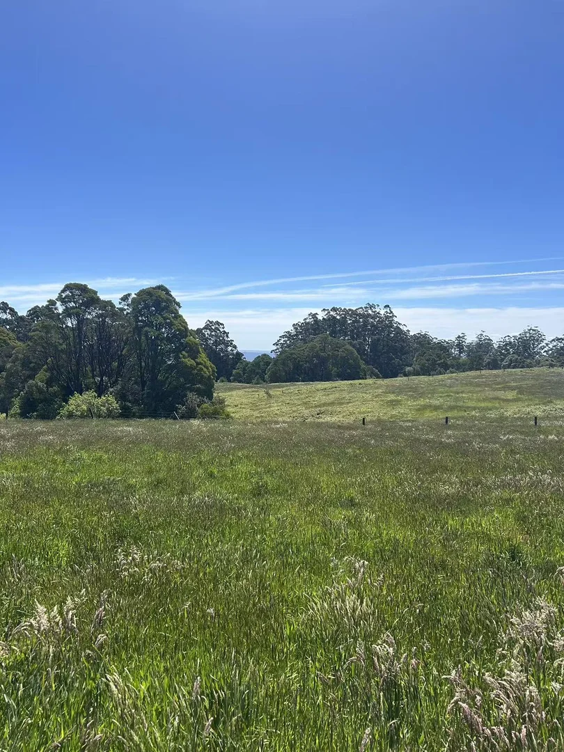 Additional image 3 of 18A Great Ocean Road, Lavers Hill VIC 3238