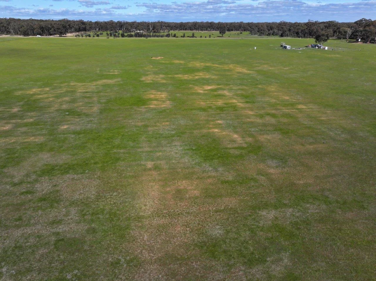 Additional image 13 of - Arnold West-Inglewood Road, Inglewood VIC 3517