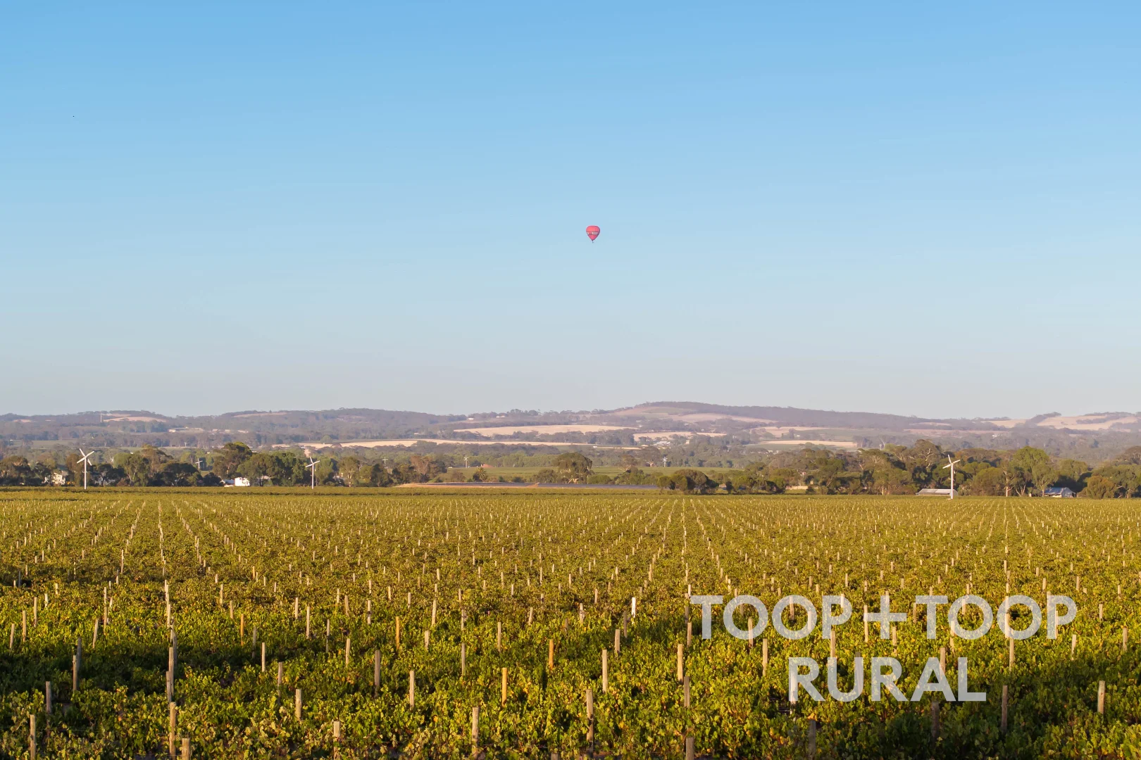 Additional image 6 of 1404 Research Road, Ebenezer SA 5355