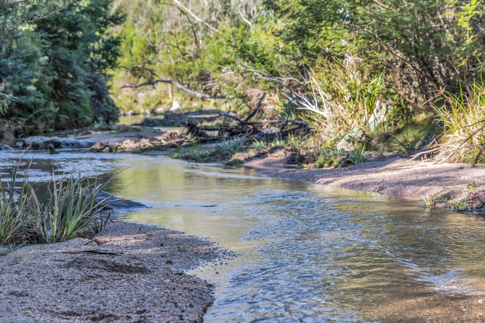 Additional image 7 of 15/752167&1/1089730 Illawambra Valley Road, Yowrie NSW 2550