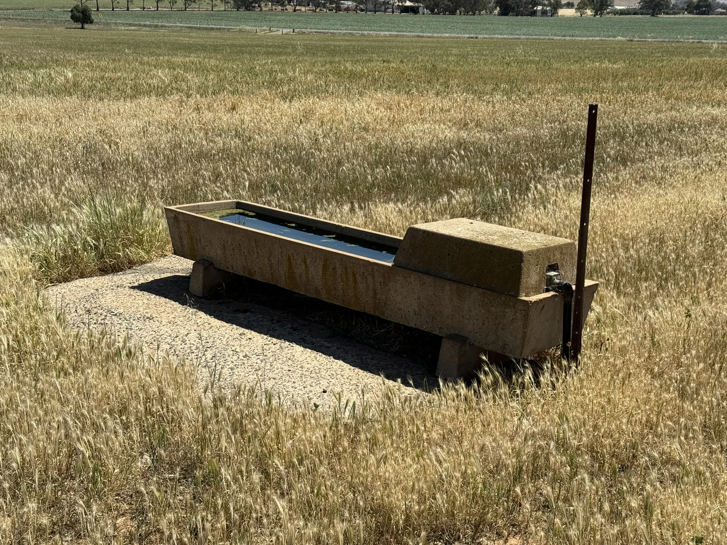 Additional image 39 of 1 Tohls Road, Booborowie SA 5417