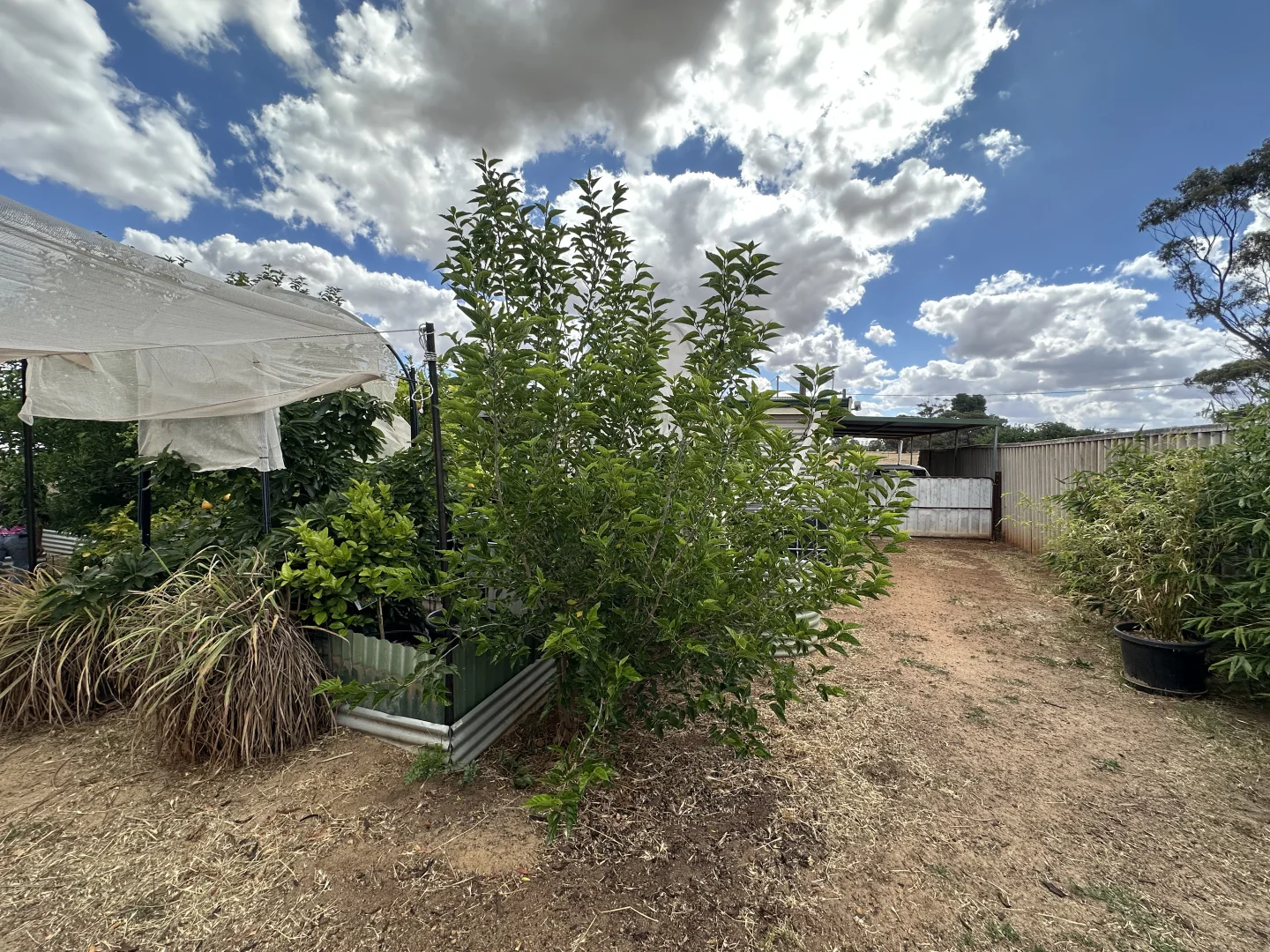 Additional image 26 of 22 Rifle North Street, Wagin WA 6315