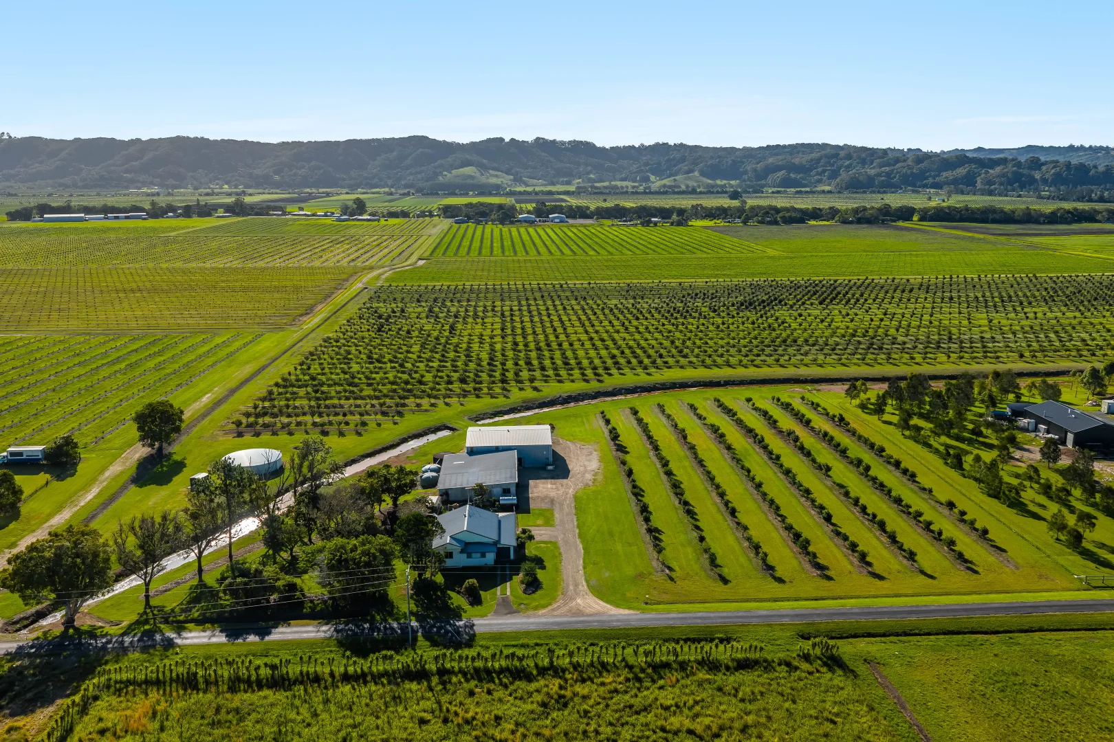 Additional image 6 of 134 Hermans Lane, Pimlico NSW 2478