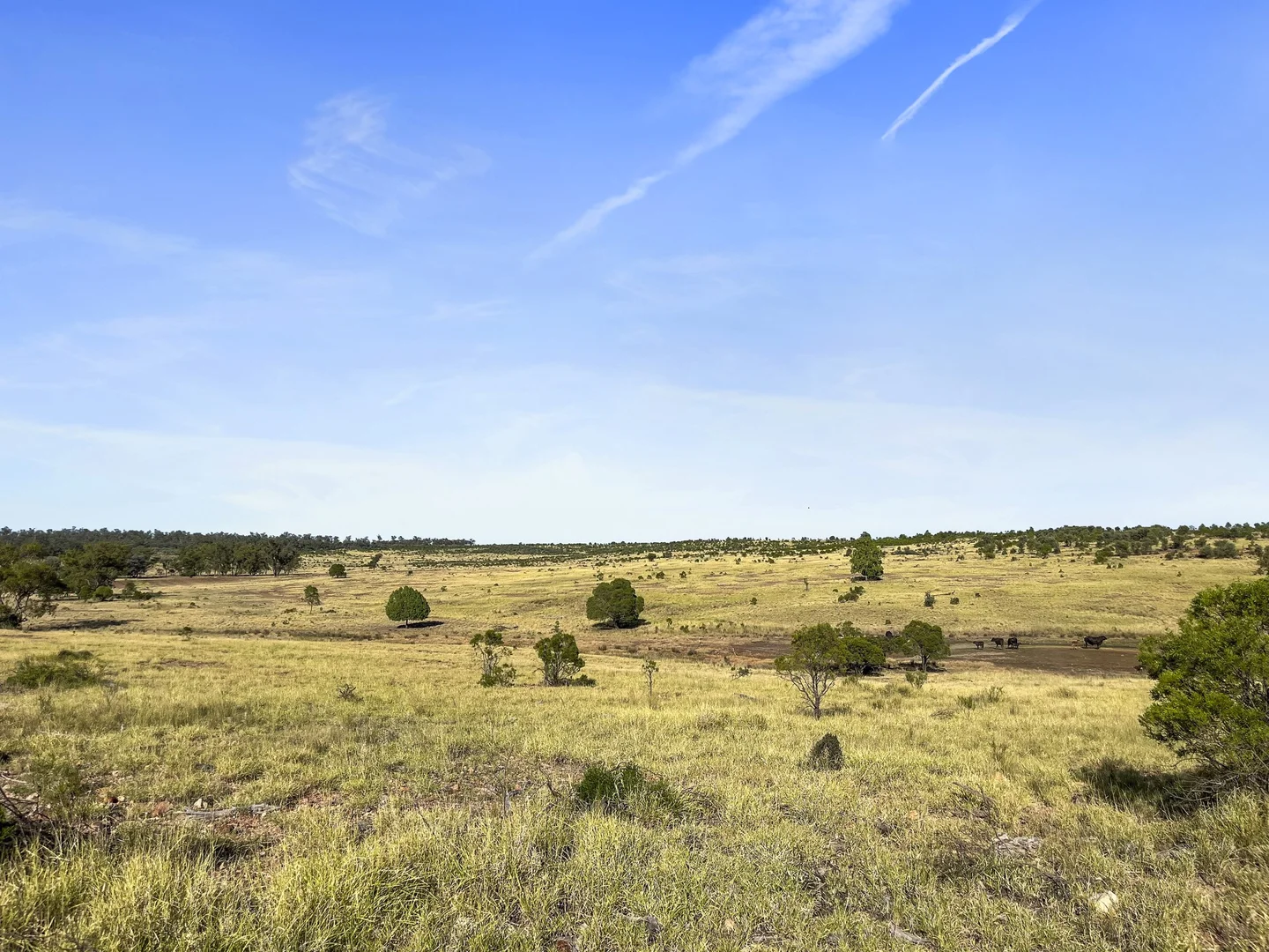 Additional image 10 of 3760 Mitchell-St George Road, Mitchell QLD 4465