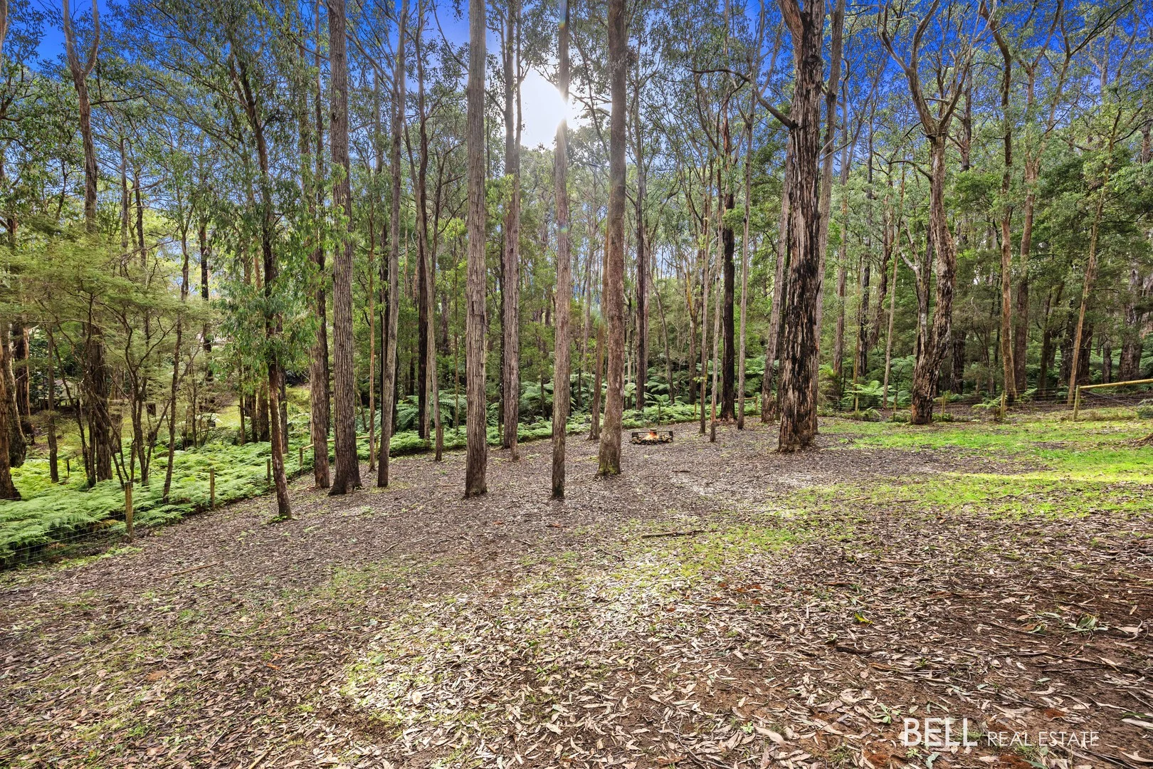 Additional image 5 of 15 Lyrebird Avenue, East Warburton VIC 3799