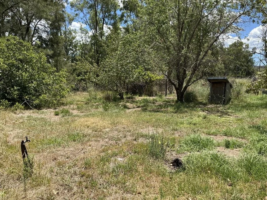 Additional image 21 of 976 Warkton, Coonabarabran NSW 2357