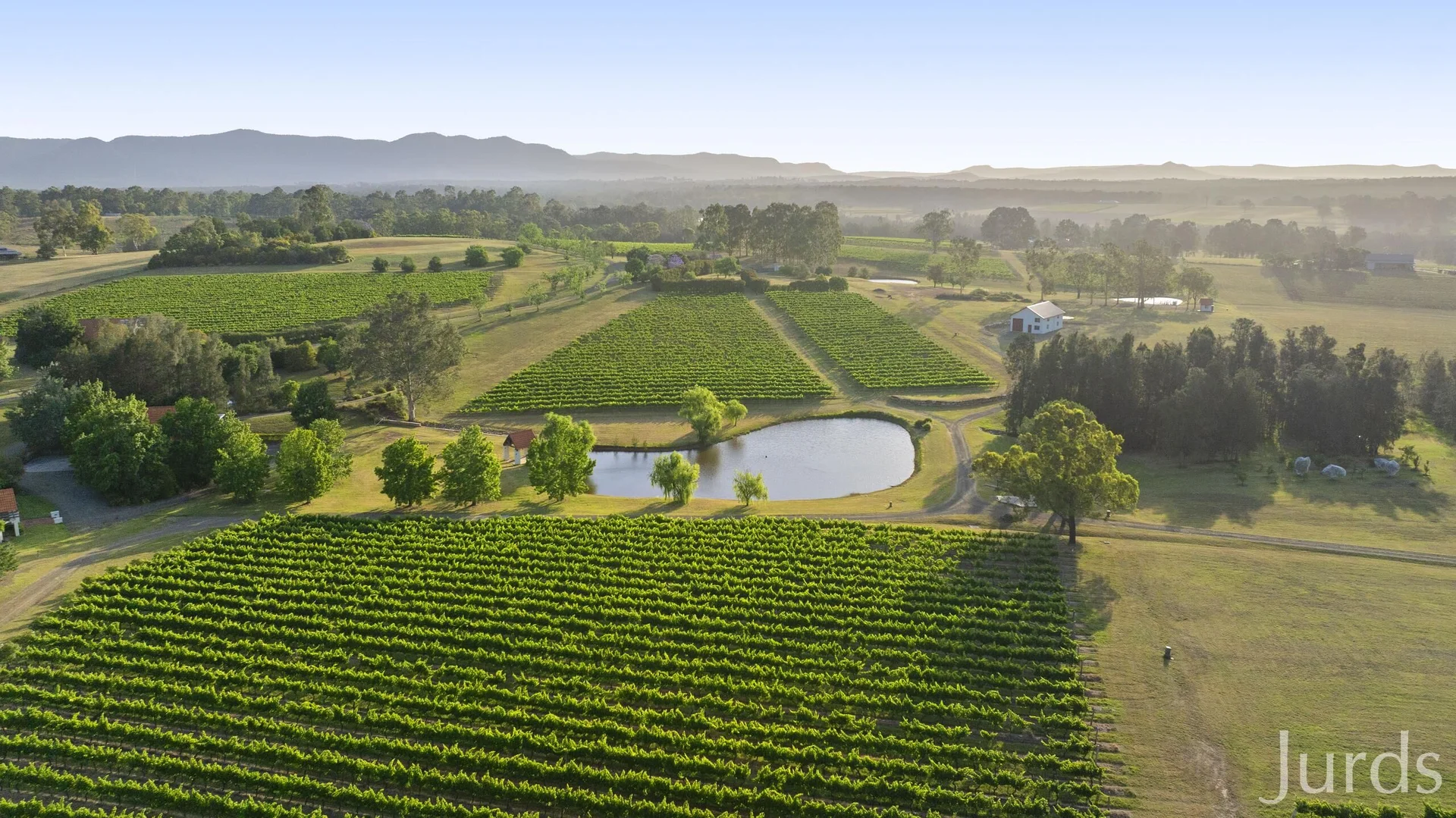 Additional image 41 of 110 Old North Road, Pokolbin NSW 2320