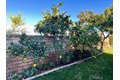 Additional image 53 of 879 Derby St, Corona, CA, 92882