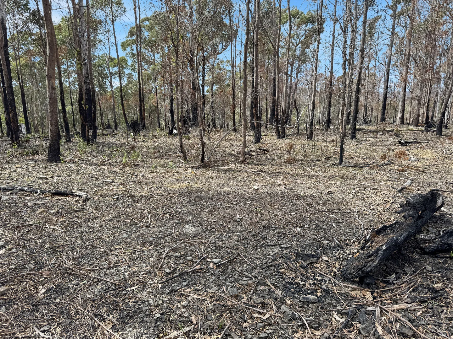 Additional image 7 of 123 German Town, St Marys TAS 7215