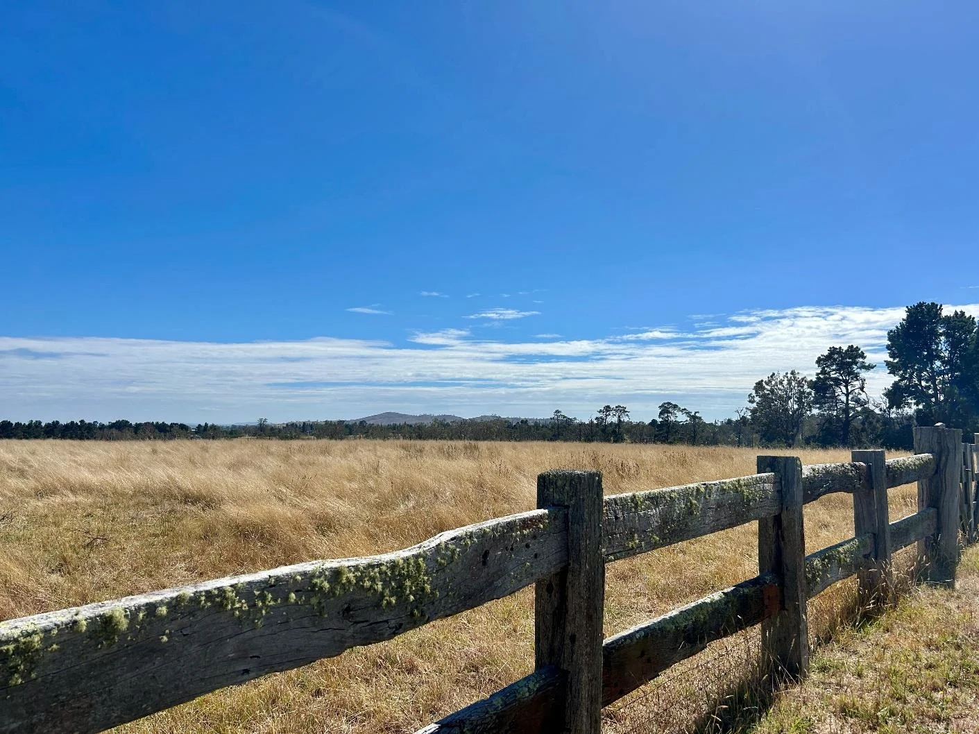 Additional image 17 of 42 Mabbotts Lane, Kentucky NSW 2354