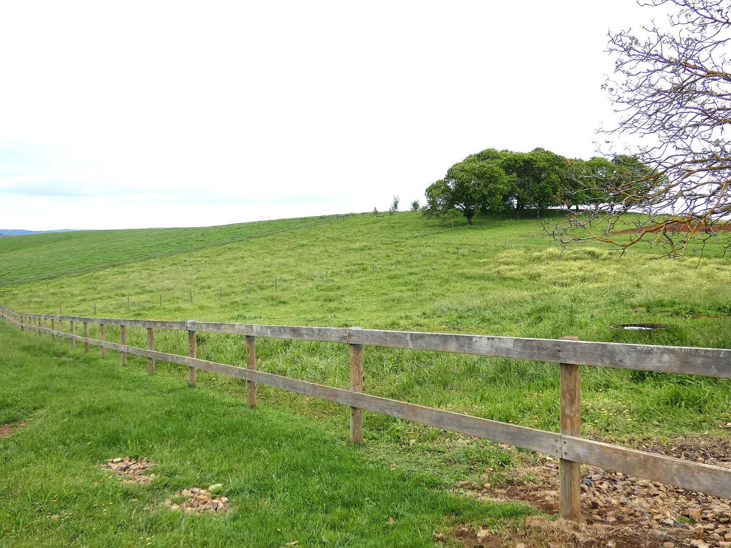 Additional image 19 of 125 Sheepstation Creek Road, Yellingbo VIC 3139