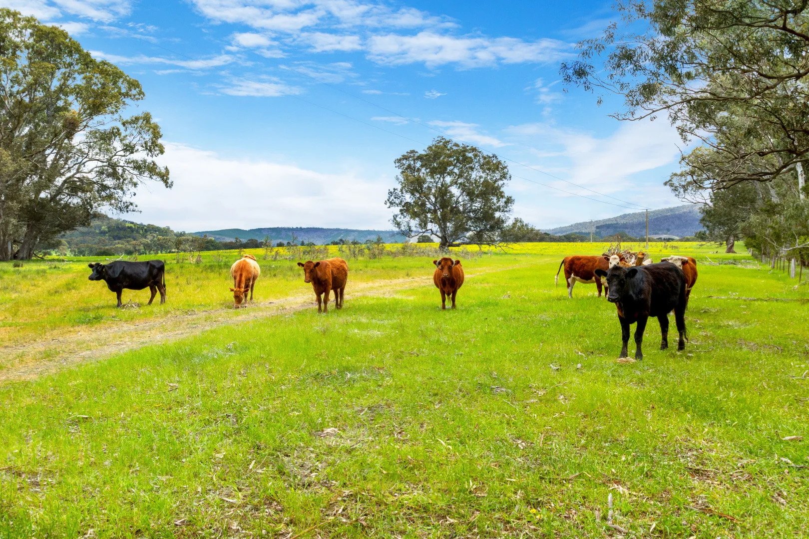 Additional image 14 of 1167 Amphitheatre Road, Mount Lonarch VIC 3468